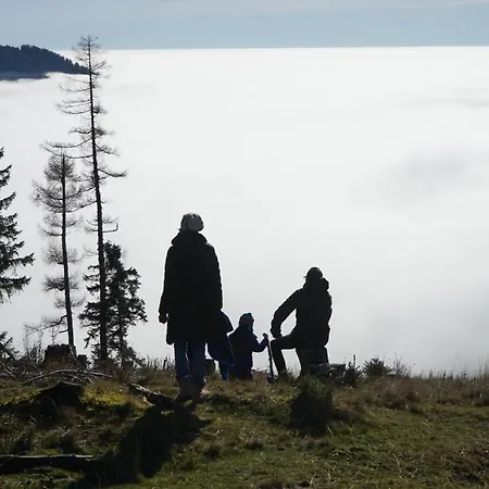 Semesterbostad Almhaus Teichalm/sommeralm *