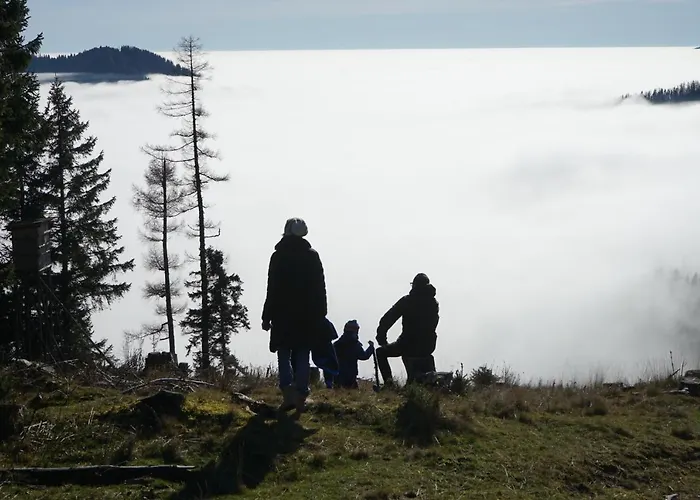 بيت للعطل Almhaus Teichalm/sommeralm *